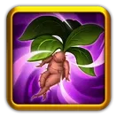 Mandrake Root